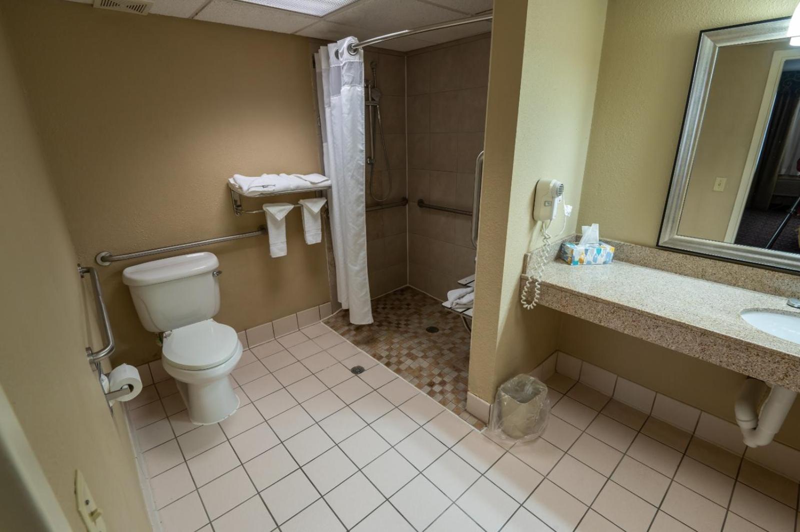 Holiday Inn Hotel & Suites Mansfield-Conference Center an IHG Hotel Main image 2